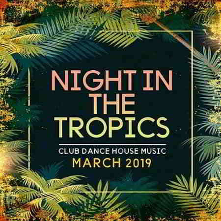Night In The Tropics (2019) торрент