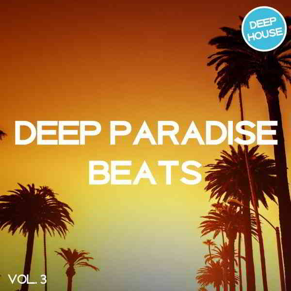 Deep Paradise Beats Vol. 3 [Tronic Soundz] (2019) торрент
