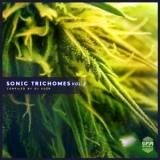 Sonic Trichomes Vol.2 (Compiled by DJ Kush) (2018) торрент