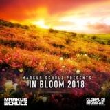 Markus Schulz - Global DJ Broadcast - In Bloom (2018) торрент