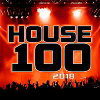 House 100 (2018) торрент