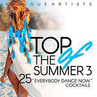 Top Of The Summer [25 Everybody Dance Now Cocktails] Vol.3 (2018) торрент