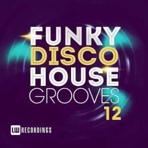 Funky New Disco House Grooves Vol. 12