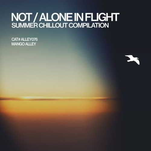 Not/Alone in Flight