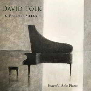 David Tolk - In Perfect Silence (2018) торрент