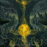 Molested Divinity - Desolated Realms Through Iniquity