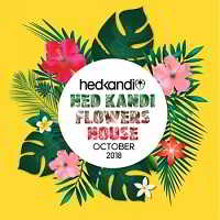 Hedkandi Flowers House: October Set