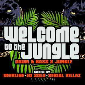 Welcome to the Jungle (Drum & Bass X Jungle)