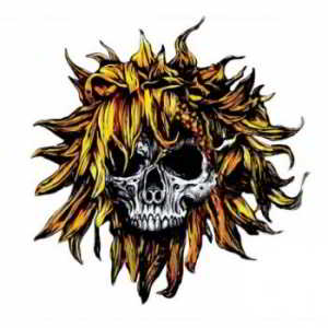 Sunflower Dead - COMA