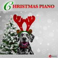 Dog Music - Christmas Piano Music For Dogs, Sleeping Music For Pets
