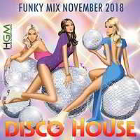 Disco House: Funky Mix November