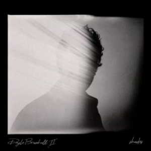 Doyle Bramhall II - Shades (2018) торрент