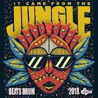 Beats Drum Jungle (2018) торрент