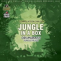 Jungle In A Box (2019) торрент