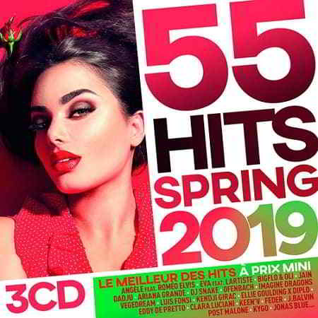 55 Hits Spring 2019 [3CD]