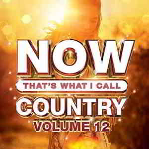 Now That's What I Call Country Vol 12