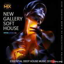 New Gallery Soft House (2019) торрент