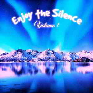 Enjoy The Silence Vol.1 [Andorfine Germany] (2019) торрент