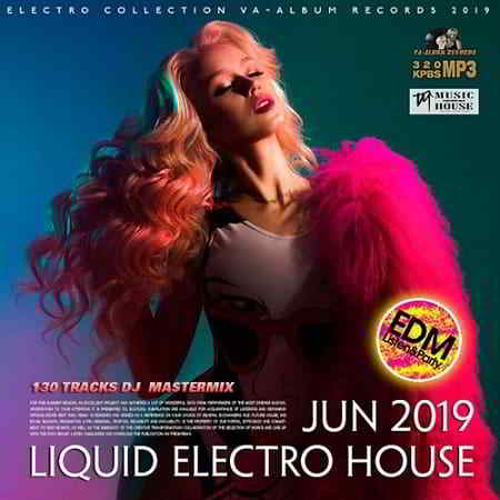 Liquid Electro Holuse (2019) торрент