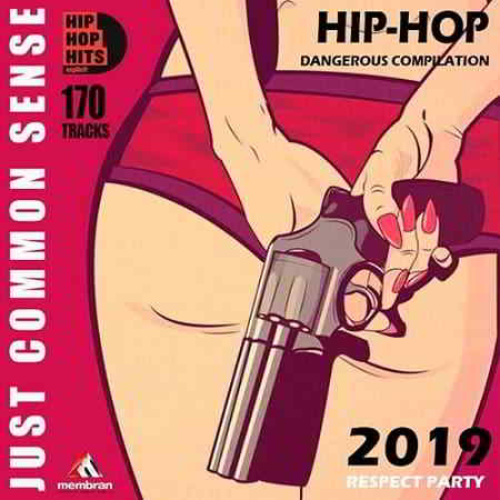 Just Common Sense: Hip Hop Dangeros (2019) торрент