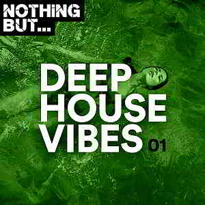 Nothing But... Deep House Vibes Vol.01 (2019) торрент