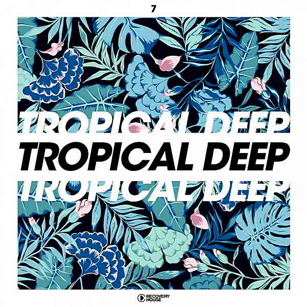 Tropical Deep Vol.7 (2019) торрент