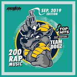 Team Dogz: 200 Rap Hits (Vol.01) (2019) торрент