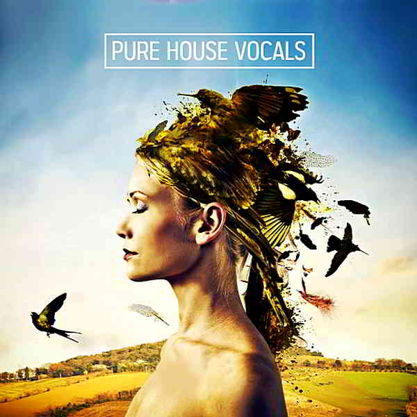 Pure House Vocal Clouds (2019) торрент