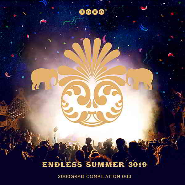 Endless Summer 3019 (2019) торрент