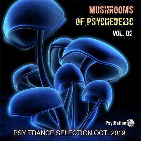 Mushrooms Of Psychedelic Vol.02 (2019) торрент