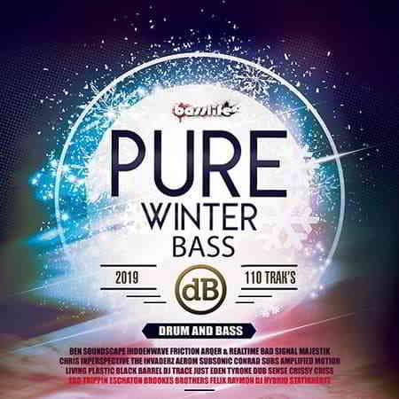 Pure Winter Bass