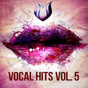 Vocal Hits Vol.5 (2020) торрент