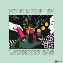 Wild Nothing - Laughing Gas (2020) торрент