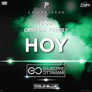 Cold Blue - Live @ Crystal Forest Medellin, Colombia 2020-02-22 (2020) торрент