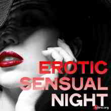 Erotic Sensual Night (2020) торрент