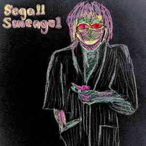 Ty Segall - Segall Smeagol (2020) торрент