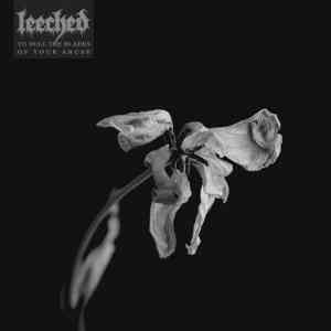 Leeched - To Dull the Blades of Your Abuse (2020) торрент