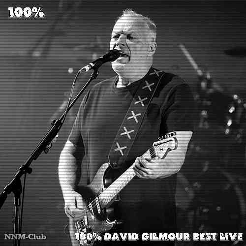 David Gilmour - 100% David Gilmour Best LIVE (2020) торрент