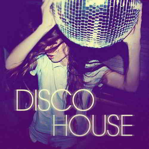 Disco House 1 (2020) торрент