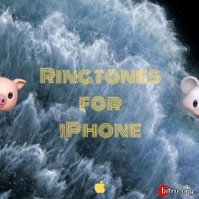 Popular Music Ringtones for iPhone (2020) торрент
