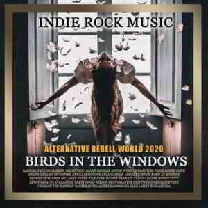 Birds In The Windows