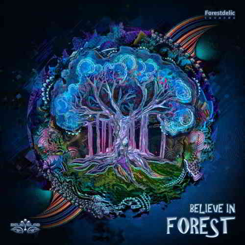 Believe in Forest