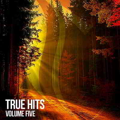 True Hits Vol. 5 (2020) торрент