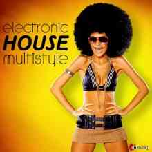 Electronic House Multistyle (2020) торрент