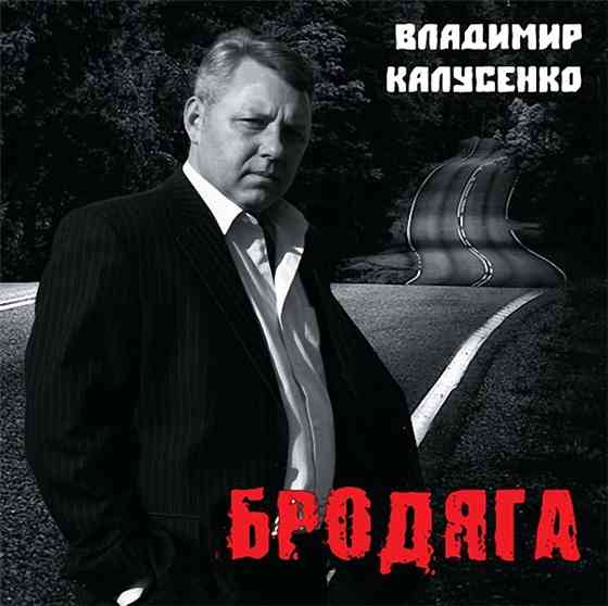 Владимир Калусенко - Бродяга (2014) торрент