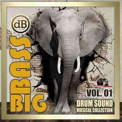 Big Bass: Drum Sound Musical Collection Vol.01
