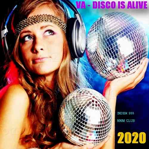 Disco Is Alive (2020) торрент