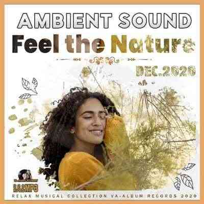 Feel The Nature: Ambient Sound