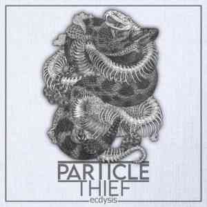 Particle Thief - ecdysis