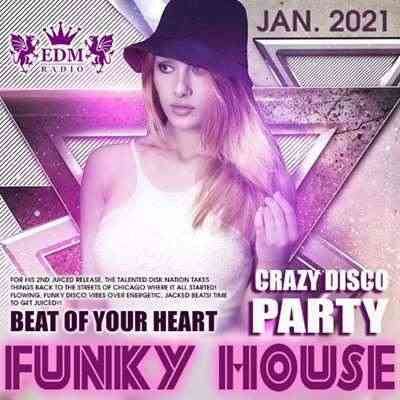 Funky House: Crazy Disco Party